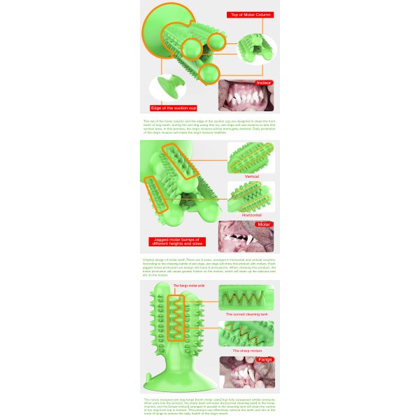 Dog Toothbrush Silicone TPR Cactus Dog Chew Toys For Teeth