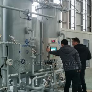 Low Power Consumption Explosive Proof IP65 Grade Nitrogen Gas Plant