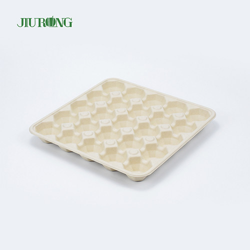 Buy Greaseproof Paper Sugarcane Food Container Recycled Biodegradable Egg Tray at wholesale prices