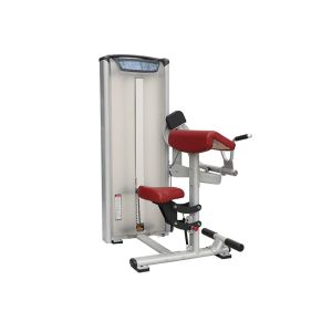 Commercial Gym Matrix Strength Training Equipment / Biceps Curl Machine