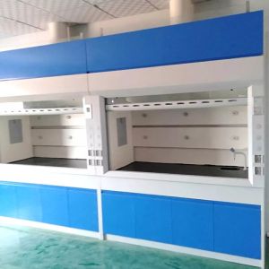 Oem Lab Ventilation Hood Chemistry ISO14001 Chemical Vent Hood