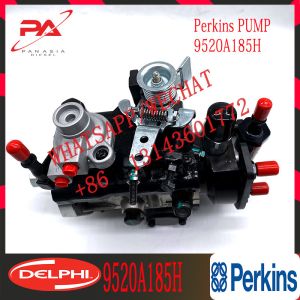 Genuine Injection pump 9520A180H same as 9520A185H,2644C346 common rail pump