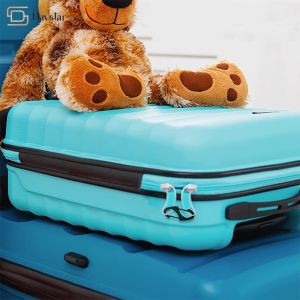 OEM ODM Spring Snap Hooks S Shaped Carabiner For Camping Fishing