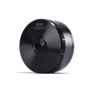 MAD 8318 IPE Brushless DC Motor
