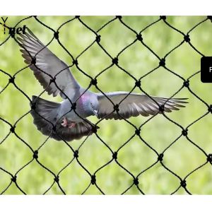 Black Polyethylene Mesh Netting Customized Bird Net For Vegetable Garden