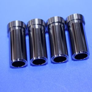 Non-magnetic Tungsten Carbide Mold Fixed and Movable Die Bushing