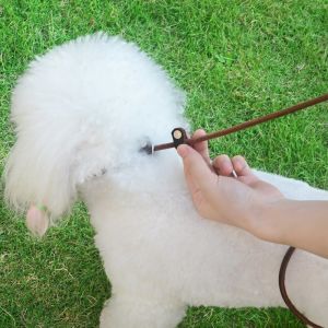 2 In 1 Real Leather Pet Collar Quick Release Adjustable Lightweight Ultra Thin