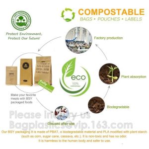 Biodegradale Compostable Packaging Roll Film Slide Zipper Garment Bag Food