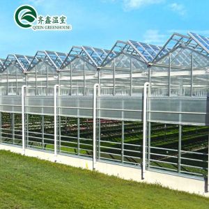 Vegetable Fruits Flowers Tomatoes Greenhouse with Inside and Outside Shading