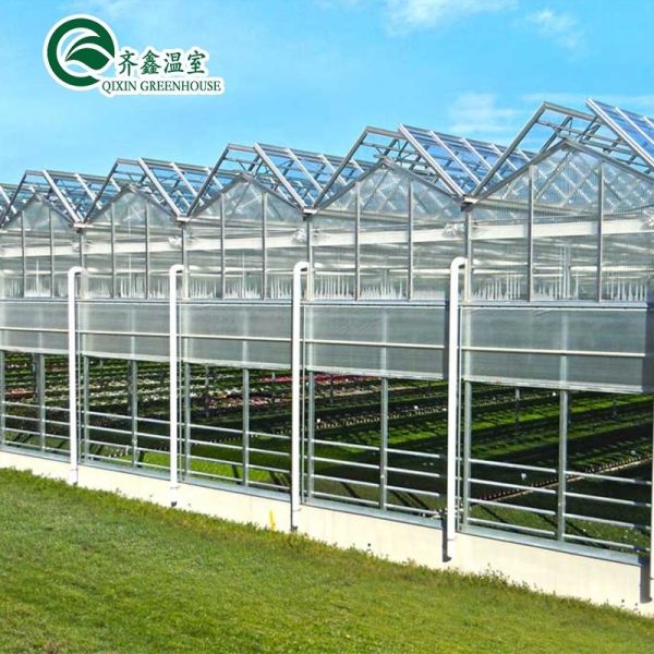 Vegetable Fruits Flowers Tomatoes Greenhouse with Inside and Outside Shading