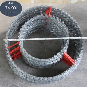 Quality High Galvanized Double Concertina Razor Wire 800 KG Tensile Strength for sale