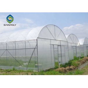 Quality 8m Plastic Film Greenhouse for sale