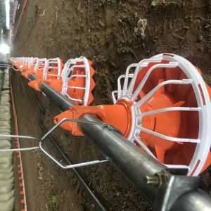 China Automatic Broiler Poultry Farm Equipment 14 Grilles 16 Grilles on sale