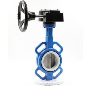 Good quality Chinese ductile iron Wafer TypeButterfly Valve