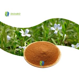 High Quality Bacopa Monnieri Extract 50% Bacopasides Powder