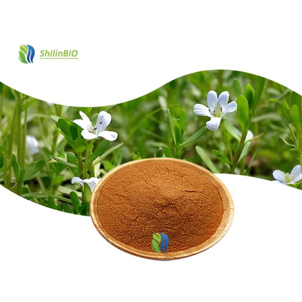 Buy High Quality Bacopa Monnieri Extract 50% Bacopasides Powder at wholesale prices