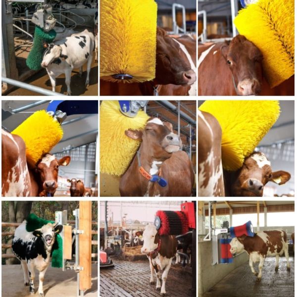 ODM Cow Scratching Brush Livestock Brush Scratcher For Cleaning