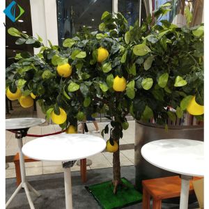 Grapefruit Citrus Artificial Fruit Tree For Home Garden Scenic Decoration