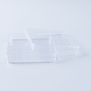 Sterile Square Petri Dish Smooth Surface 90x15mm