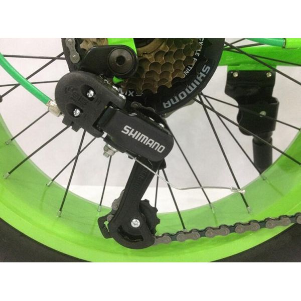 OEM 21 Speed 20 Inch Fat Tire Electric Bike
