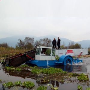 Lake Grass Water Plants 12cbm Trash Skimmer Machines Pond River Cleaning Boat