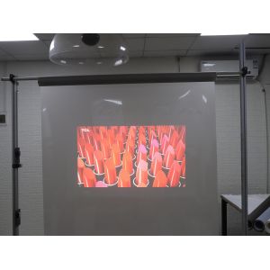 30m Adhesive Rear Projection Film Transmittance Transparent For Glass