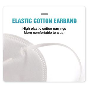 KN95 Earloop 5 Layers With Valid FFP2 Face Mask