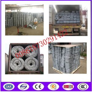 Galvanized Babred Wire with Best quality in Chinba