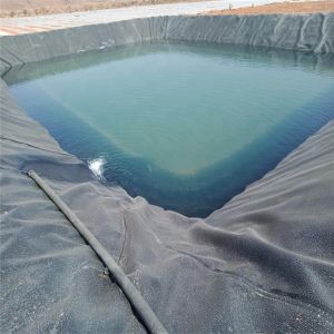 Chinese Design Style Water Pond Plastic Polyethylene Geomembrane Liner for Fish