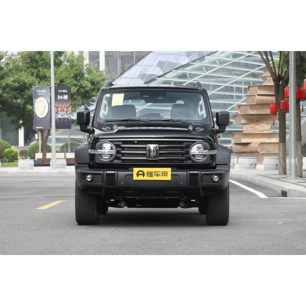 Wey Tank 300 SUV Euro VI Emission Standard and Electric Adjustment Heating Mirror