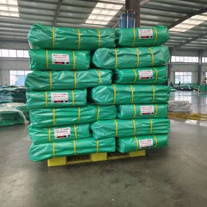 High Density 6*6-16*16 Coated PE Tarpaulin Roll for Waterproof and Durable