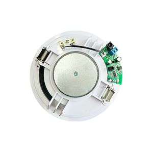 Quality Oval 6 Inch Ceiling Active Speaker ABS Dual Cone 4×10W OEM ODM for sale