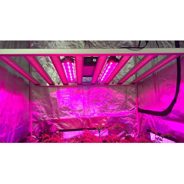 IR 730nm 660nm Red Light 2.5ft UV IR Grow Light For Fruiting Flowering