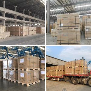 Trina Solar Panel Vertex Half Cell 565w 570w 575w 580w 585w 570 580 585 watt