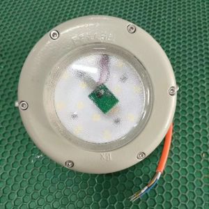 Ex D CE/ ROHS 1200mm LED Explosion Proof Glass Tube Lighting For Zone 2 21 22