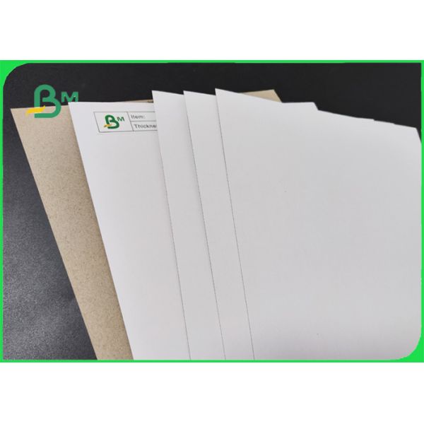 400gsm 450gsm One Side Coated Board Grey Back For Toothpaste Box 31.5inches 400gsm 450gsm One Side Coated Board Grey Back For Toothpaste Box 31.5inches