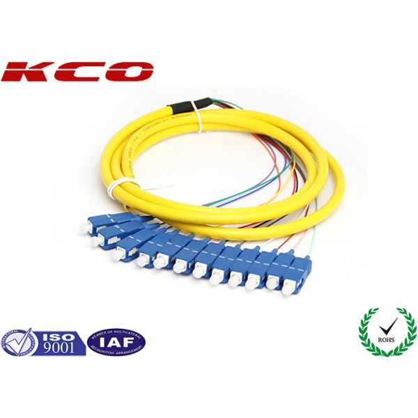 Buy 12 Fiber SCUPC Pigtail / Multi-fiber Optical Fanout Pigtail / SC Pigtail / SM MM Pigtail at wholesale prices