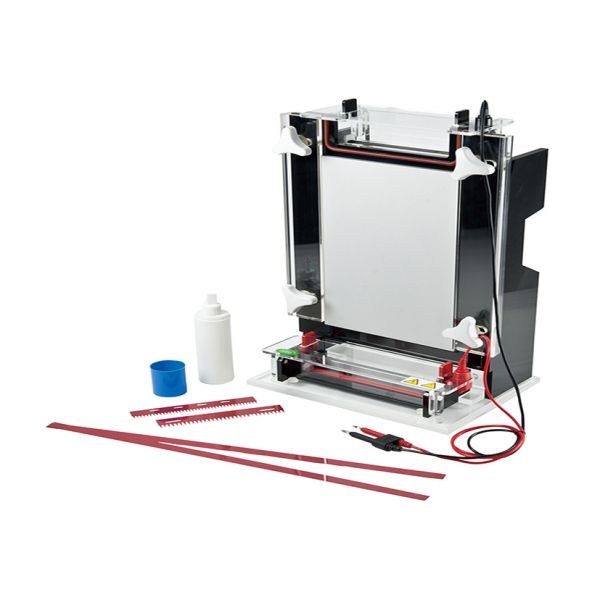Durable Denaturing Agarose Gel Electrophoresis Apparatus Nucleic Acid Sequencing