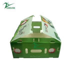 Lemon Banana Fruit Corrugated Boxes Coflute Corrugated Polypropylene Boxes