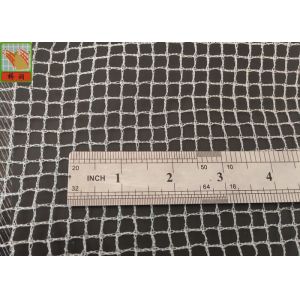 10mm * 10mm PE 50g / Sqm Agricultural Netting