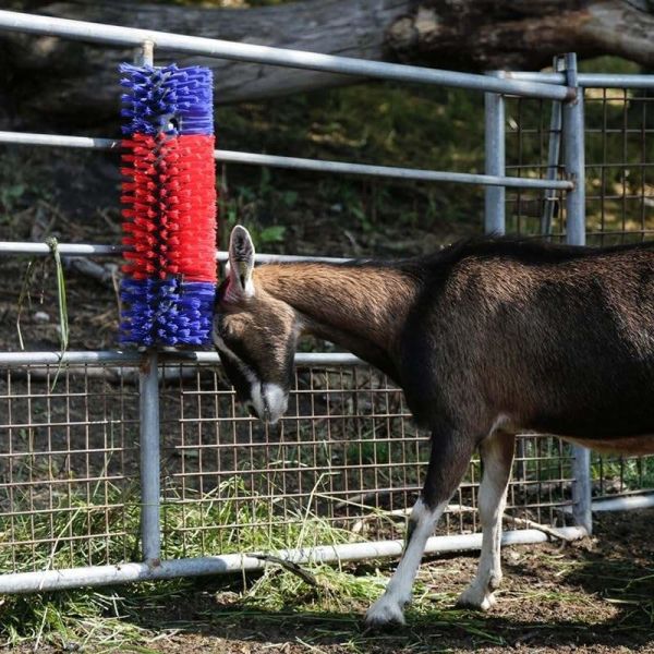 Half Round Livestock Cow Scratching Brush For Horse ROHS Certificated