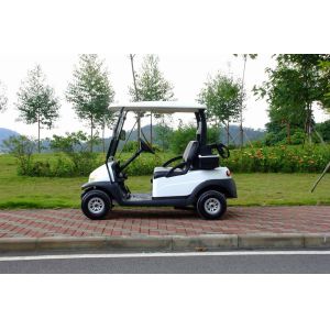 Excar 48V Electric Golf Car Pearlized Trojan Battery Aluminum Chassis