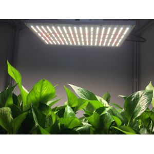 ETL IP65 Horticulture Quantum Board For Garden