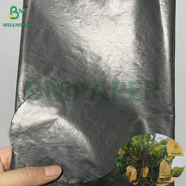 Mango Growing Protection Bag Glossy 30gsm Inner Black Paper Roll Sunproof Mango Growing Protection Bag Glossy 30gsm Inner Black Paper Roll Sunproof