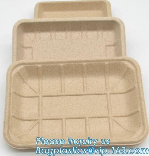 FDA CERTIFICATE BIODEGRADABLE WHEAT STRAW PLATE, Dinner Plate Wheat Straw