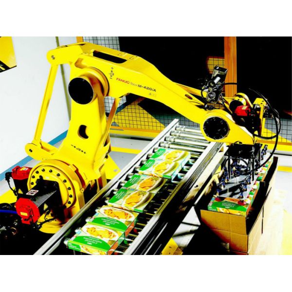 Spider Hand Robot Automatic Box Packing Machine For Carton Encasing System