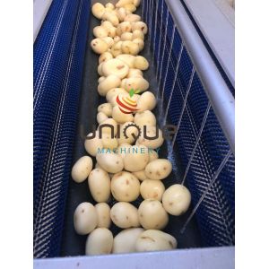 Electric Potato Peeler Roller Washing Peeling Cleaning Machine Output Name