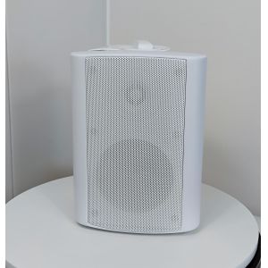 1'' Tweeter 3-inch Woofer Wall Speakers OEM ODM 15w/30w 1-year Warranty White
