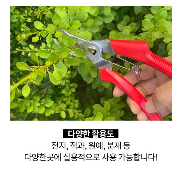 Scissors Handheld Yard Tree Tool Titanium Pruning Shears SINSEUNG SB708 Heavy Duty Bypass Pruner Garden