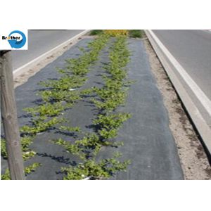 Agricultural Ground Cover Supplier Commercial Landscape Fabric Anti Weed Matting